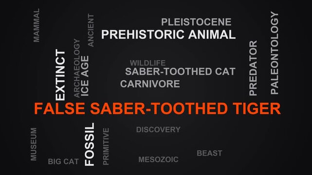 False Saber-Toothed Tiger Word Cloud