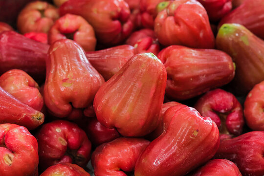 Fresh red rose apples background, group of organic Syzygium samarangense fruits