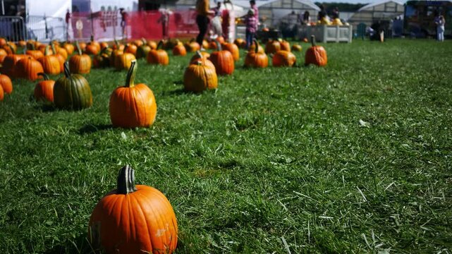 Blurry People Near Cinematic Fall Autumn October Pumpkin Patch