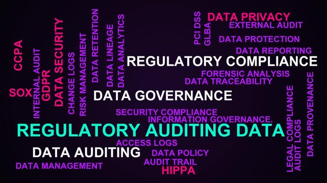 Regulatory Auditing Data Word Cloud