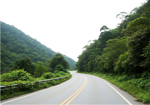 Empty winding road surrounded by lush green forest under clear blue sky isolated on transparent background