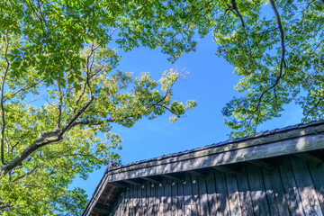 山形県 酒田の山居倉庫  © rujin
