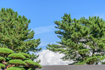 山形県 酒田の山居倉庫  © rujin