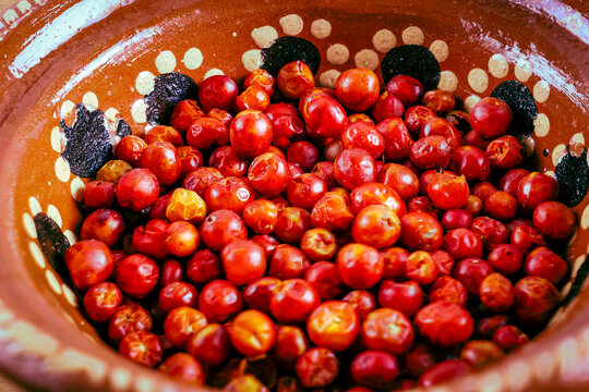Chiltep&iacute;n pepper (Capsicum annuum var. glabriusculum)