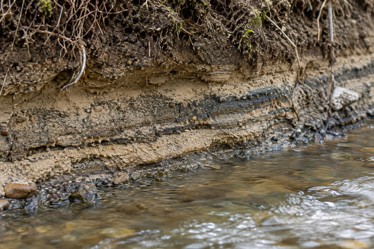 Sand and silt layers exposed beside a shallow stream