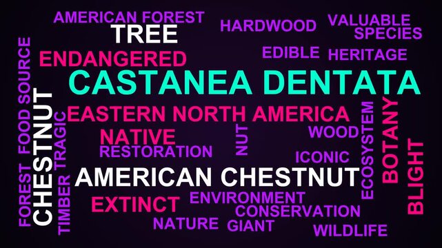American Chestnut Castanea Dentata Word Cloud