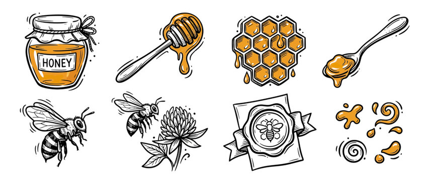 Hand-drawn honey and bee collection, isolated elements