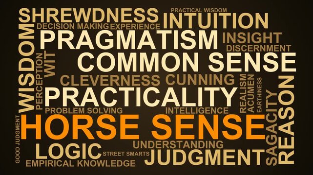 Horse Sense Word Cloud