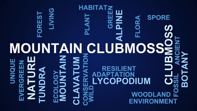 Mountain Clubmoss Word Cloud