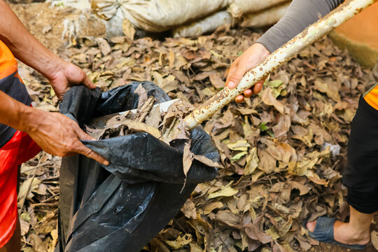 People collecting plastic waste and dry leaf litter with bamboo tool outdoors, supporting environmental cleanup and community conservation effort