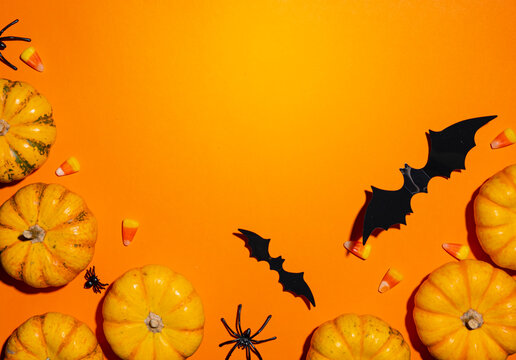 Halloween background texture with mini pumpkins, bats, spiders and candy corn on orange surface. Spooky autumn harvest theme. Frame copy space template for holiday banner and flyer promo