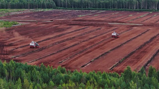 Drainage channels frame active peat gathering beside dense Baltic woodland area