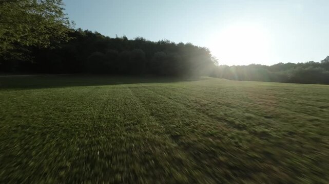 Fast FPV drone pass skimming just above grass across a green meadow in the Colli Berici countryside near Vicenza, Italy.