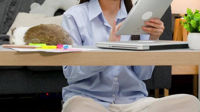 Asian Freelancer Woman Using Digital Tablet and Petting Rabbit at Home
