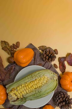 Autumn harvest food featuring corn, pumpkins, nuts, and pinecones