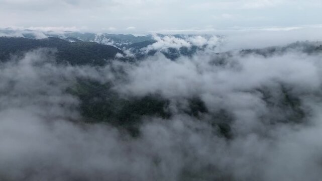 Misty Mountain Forest Landscape Aerial View, Low Cloud Drifting Across Rugged Green Ridge, Serene Wilderness Nature Scene with Atmospheric Fog, Quiet Remote Landscape and Muted Natural Color