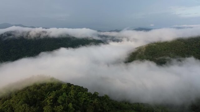 Misty Mountain Forest Landscape, Aerial View of Lush Green Ridge and Wilderness Beneath Rolling Cloud, Atmospheric Nature Scenery with Layered Fog and Tranquil Overcast Sky