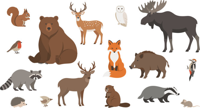 Forest woodland animals vector icon collection with brown bear deer fox moose raccoon beaver owl squirrel and badger isolated on white background