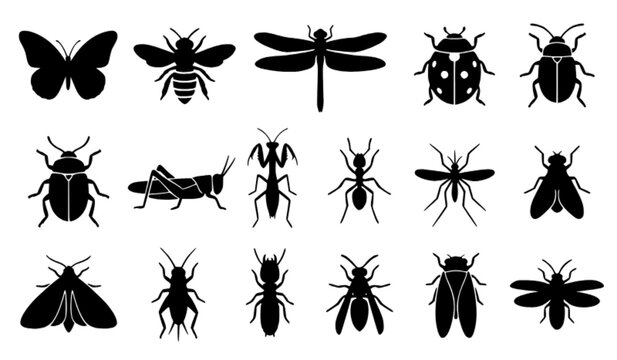 Diverse wild insect vector icon collection showing butterfly bee dragonfly ladybug beetle grasshopper and ant species