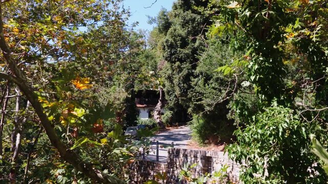 Shaded Mediterranean setting surrounded by mature vegetation and rustic elements on Thassos, Greece. Natural travel footage showing a quiet, secluded area with dense greenery and traditional island ch