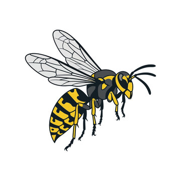 Black and Yellow Striped Cartoon Wasps Flying.