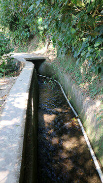 Irrigation canal flowing through lush forest path