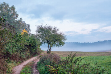 Jesienny  poranek na Mazurach. © Janusz Lipiński