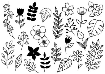 花や葉っぱの植物の線画セット、ボタニカルイラスト素材 © mamario