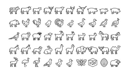 Fototapeta premium Farm Animal Icon Set: A collection of simple line icons depicting various farm animals and other common rural symbols, presented in a grid format.