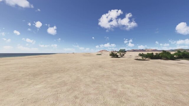 3D - Aerial shot Beaches of Corralejo in Parque Natural de Corralejo. La Oliva. Fuerteventura. Spain