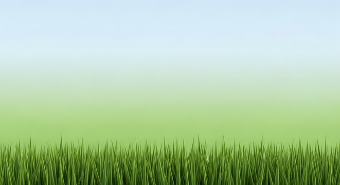 AI generated minimalist green grass border with soft blue sky background for spring nature banner and web header