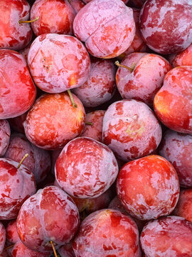 Close-up of red plums covered with a natural bloom,  a background of winter fruit.
