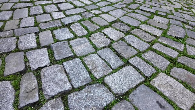 Paved stones on a walkway with green grass in between them