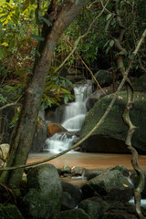 A serene scene of a small waterfall cascading down smooth rocks in a lush green forest. © k33pcalmncapture