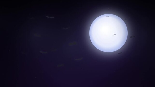Spooky night sky with a large full moon and flying bats
