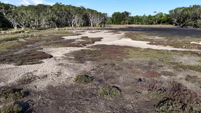 Low Aerial Over Coastal Salt Marsh and Sandy Wetland