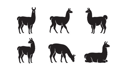 Fototapeta premium black color silhouette set of six Llama vector illustration, solid white background