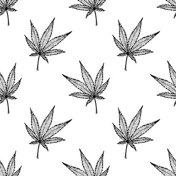 Seamless pattern with hand drawn cannabis leaf Medicine marijuana Hemp leaves For decorative print, wrapping paper, fabric, packaging, background