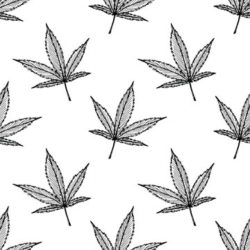 Seamless pattern with hand drawn cannabis leaf Medicine marijuana Hemp leaves For decorative print, wrapping paper, fabric, packaging, background