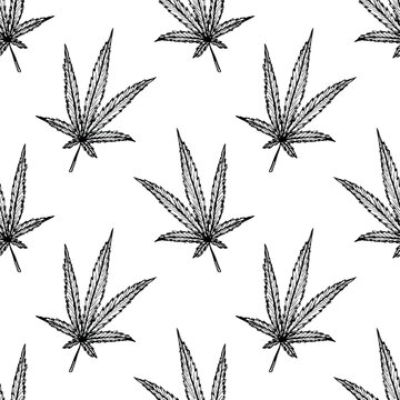 Seamless pattern with hand drawn cannabis leaf Medicine marijuana Hemp leaves For decorative print, wrapping paper, fabric, packaging, background