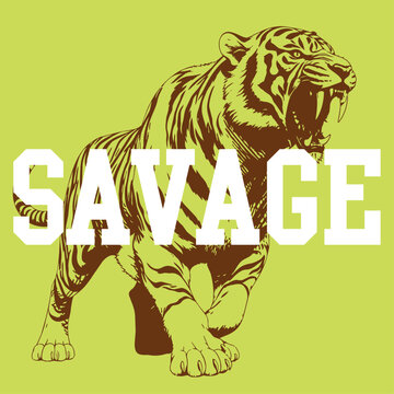 Animal Creatures artistic drawn for graphic use
