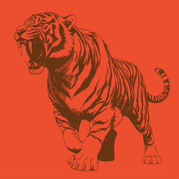 Animal Creatures artistic drawn for graphic use