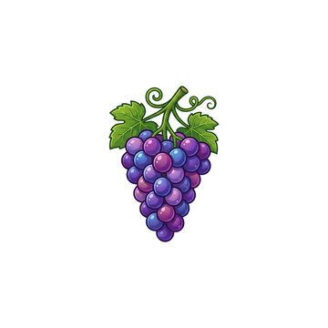 Cartoon purple grape cluster with green leaves, vector illustration, food icon design, fruit graphic elements