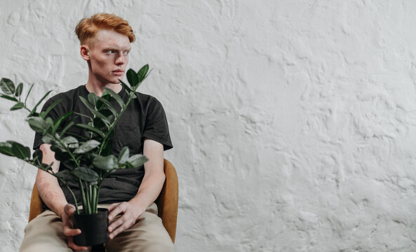 Redhead man sitting in chair with potted ZZ plant beside white textured wall