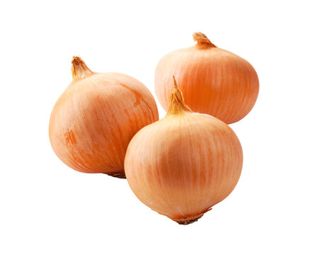 Three fresh whole yellow onions isolated on a transparent background