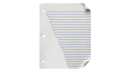 Torn sheet of lined notebook paper with threehole punch margin isolated on transparent background © CleanPixel Studio