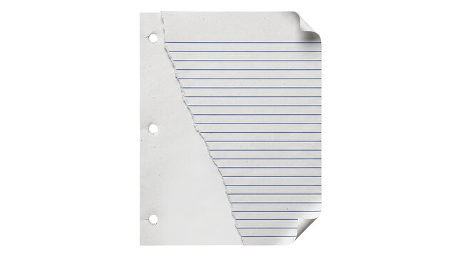 Torn sheet of lined notebook paper with threehole punch margin isolated on transparent background
