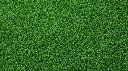 Fototapeta premium A top down view of lush green artificial grass turf