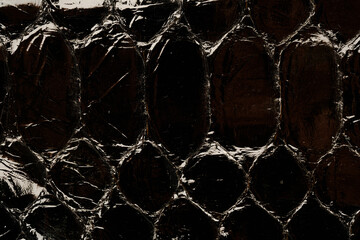 Dark exotic reptile leather texture with glossy python scales for luxury fashion background © reddish