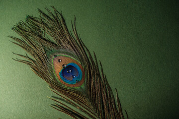 Peacock feather with water drops on a textured green background © reddish